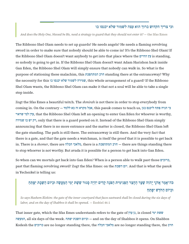 Excerpt of a shiur sheet with identifying details removed